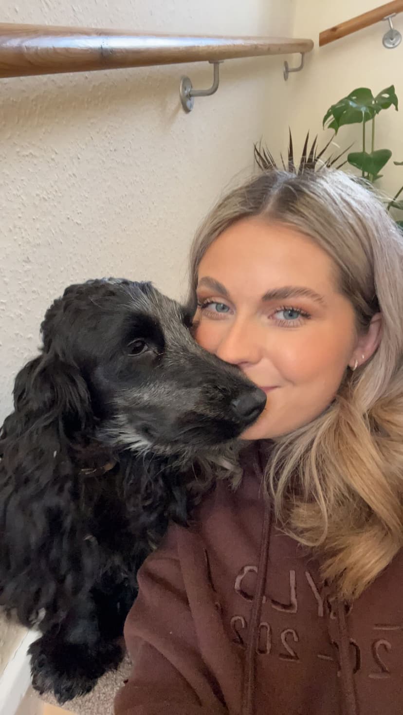 Abby and Oreo - Your trusted wedding dog chaperone team